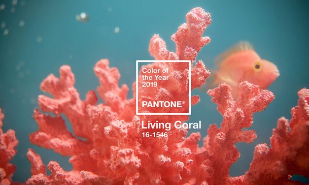 And the Pantone® Color of the Year 2019 is….