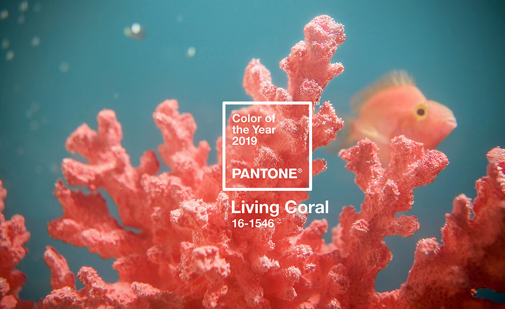 And the Pantone® Color of the Year 2019 is….