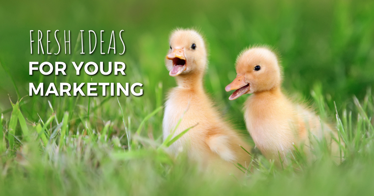 Fresh Ideas for your Marketing in March